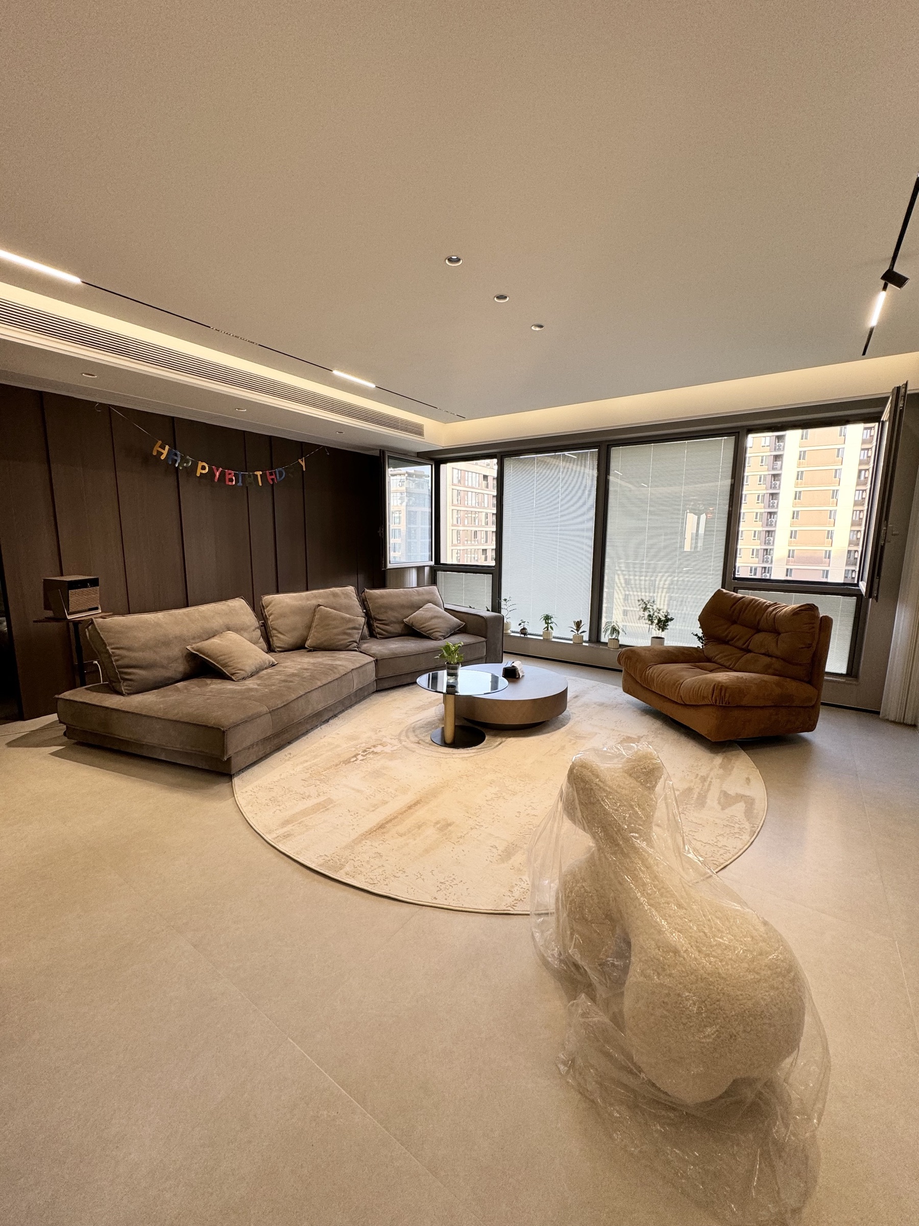 Domestic Buyer Project 019