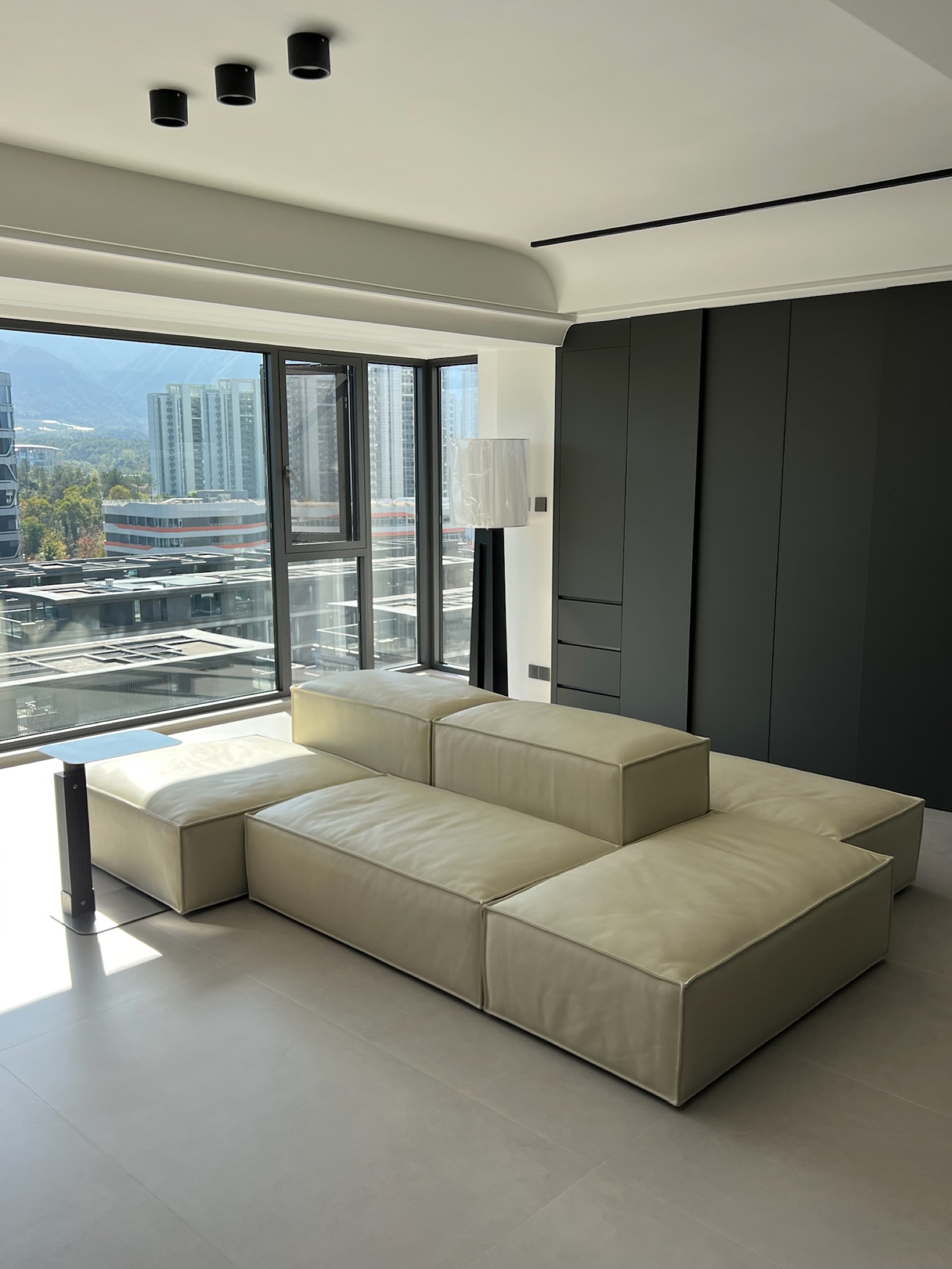 Domestic Buyer Project 061