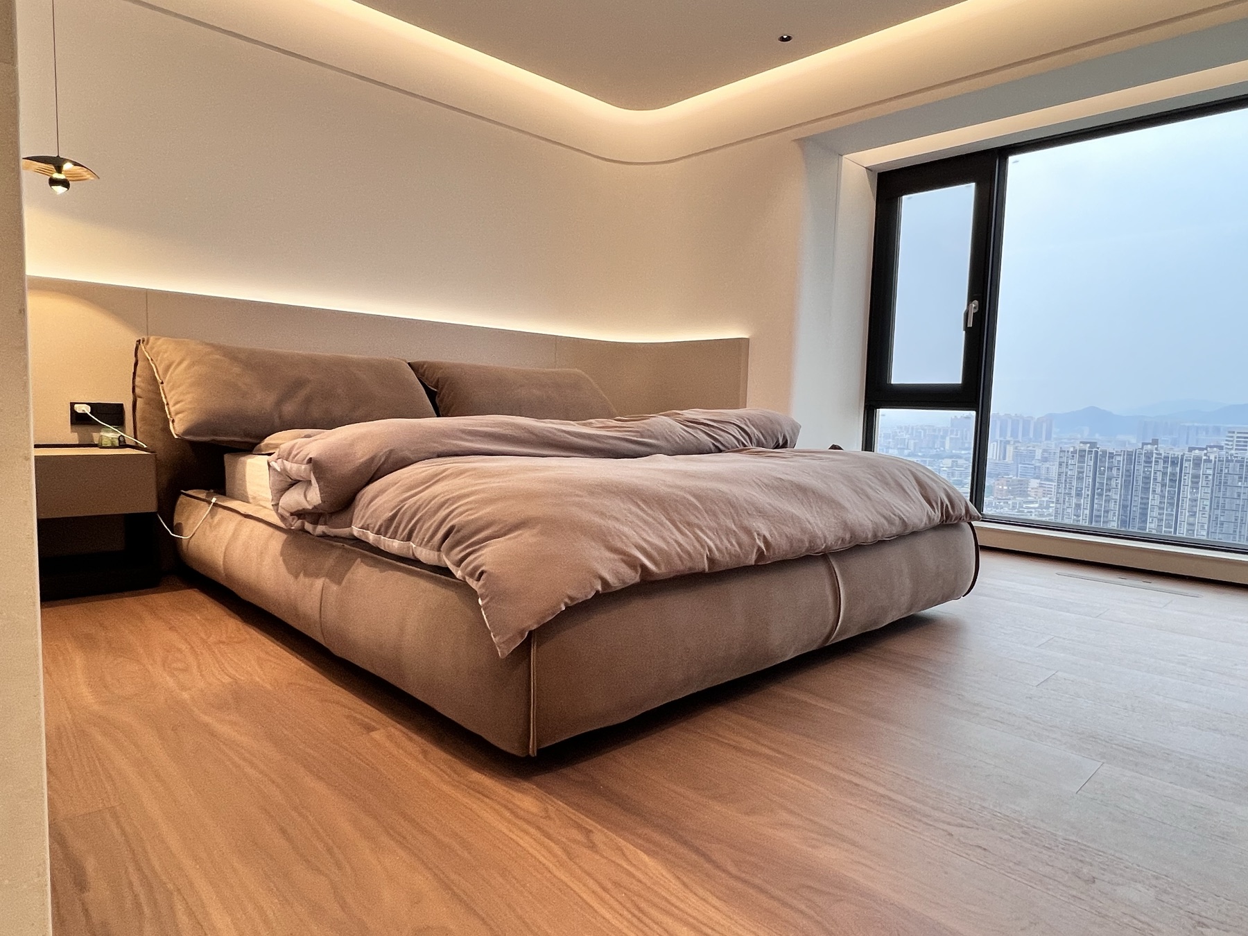 Domestic Buyer Project 065