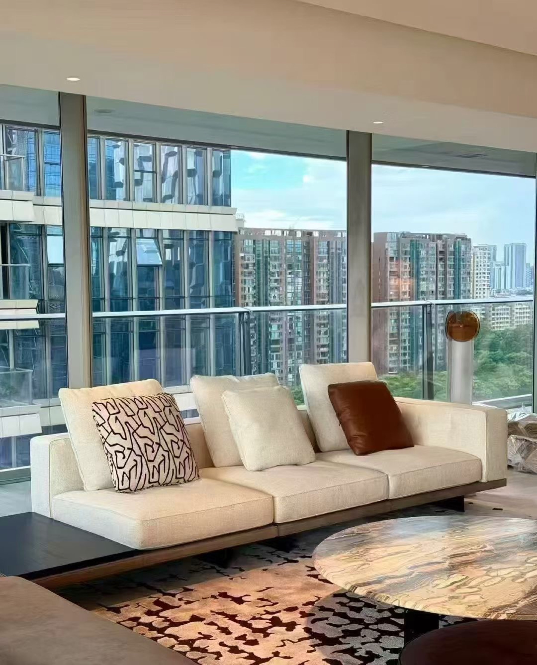 Domestic Buyer Project 110