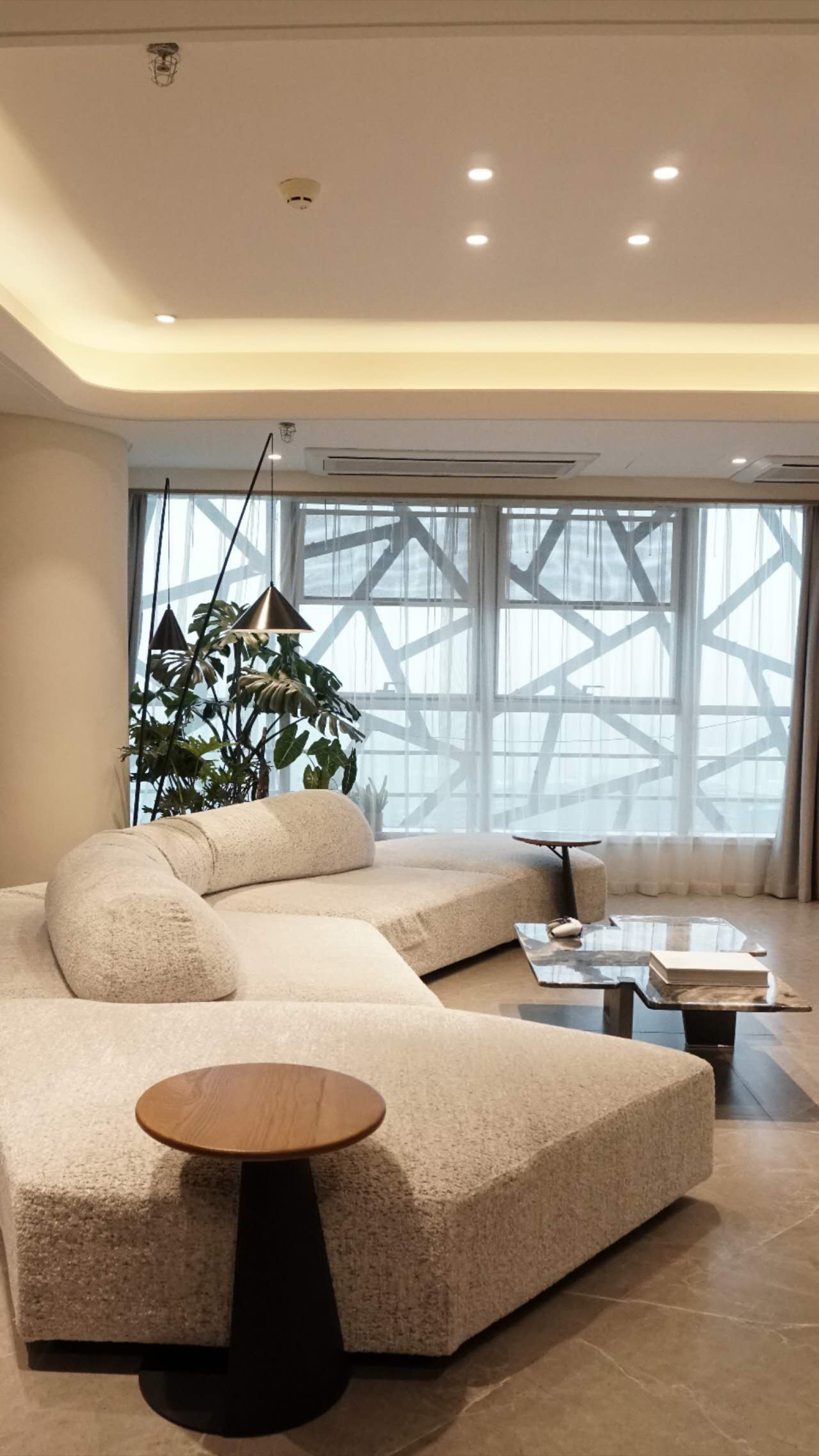 Overseas Buyer Project 165