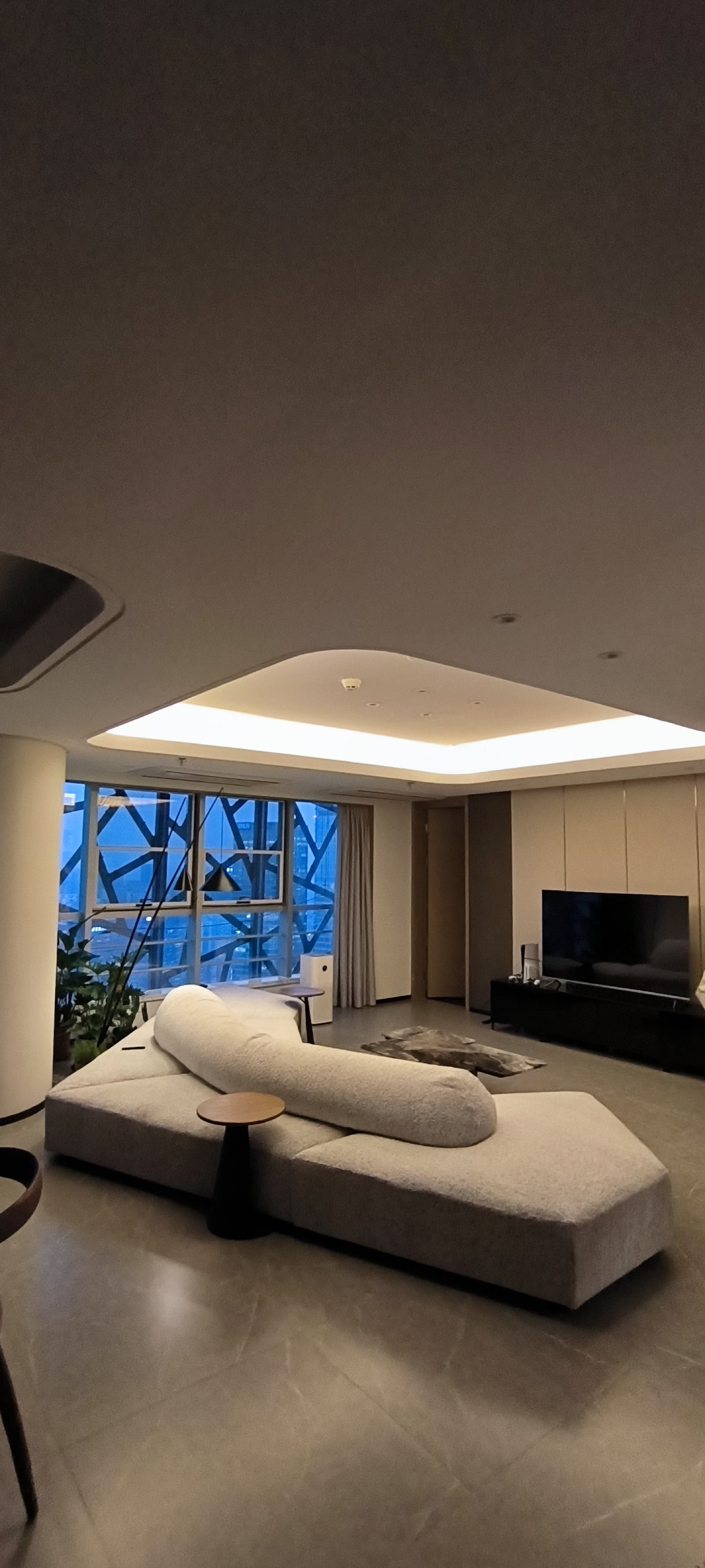 Overseas Buyer Project 167