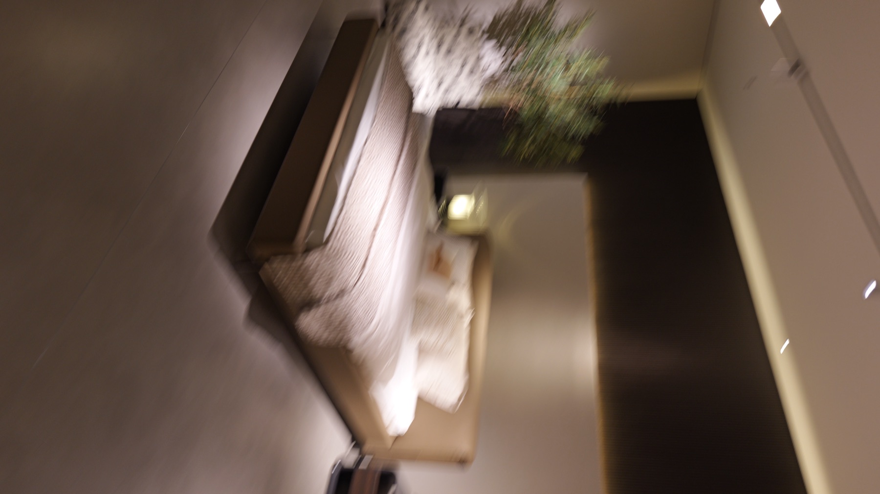 Black Bull Bed 10