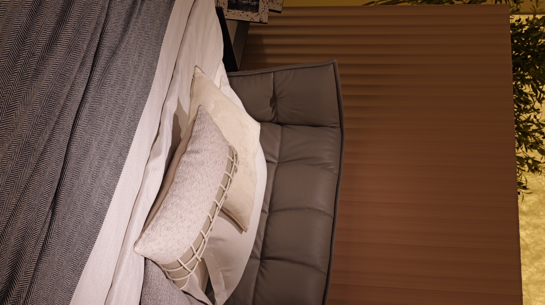 Muscle Bed 5